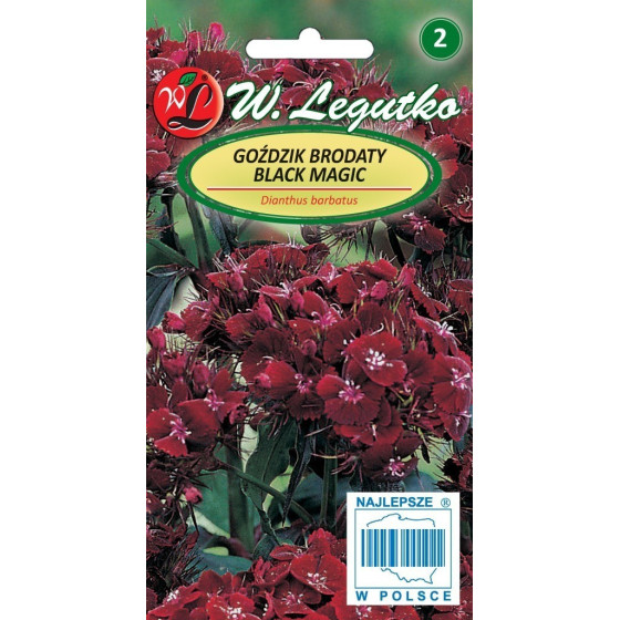 Studentu neļķes...