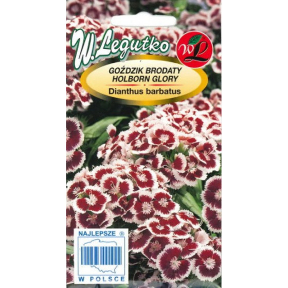 Studentu neļķes...