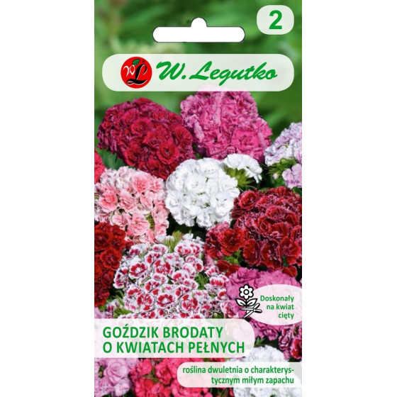 Studentu neļķes...