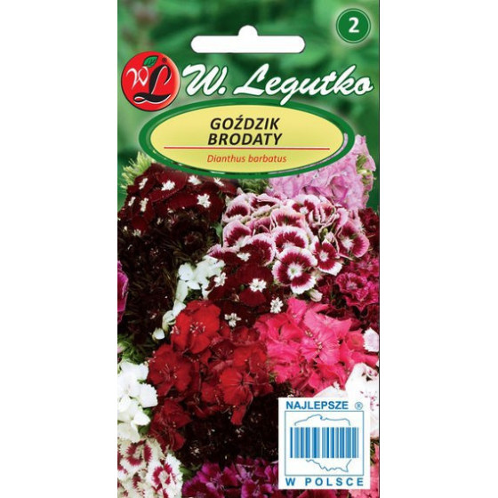 Studentu neļķes...