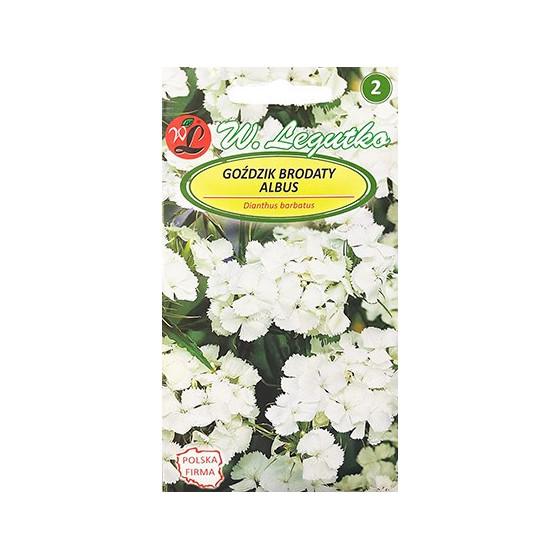 Studentu neļķes (Baltas)...