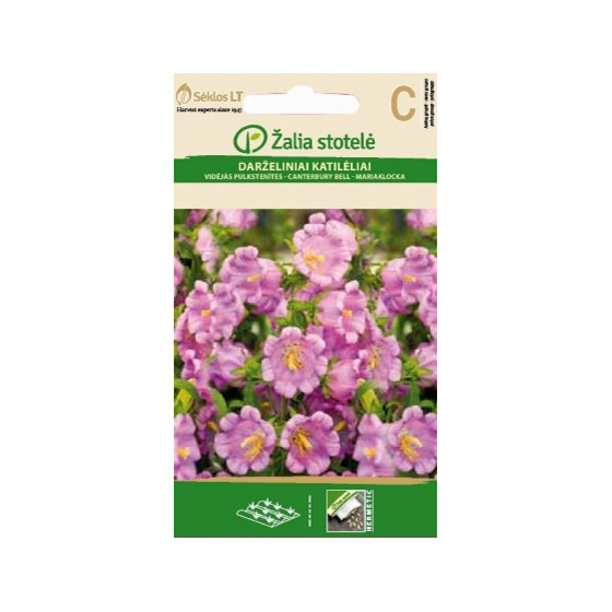 Pulkstenītes vidējās