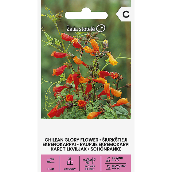 Ekremokarps raupjais