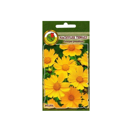 Brūnactiņa lielziedu