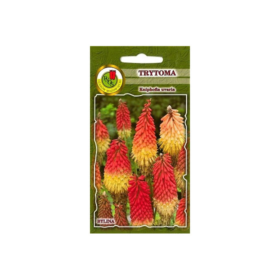 Knifofija ķekarainā