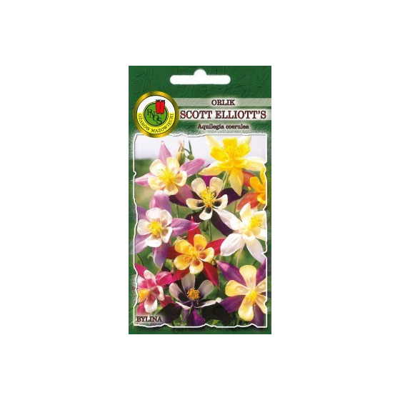 Ozolīte zilā Scott Elliot's