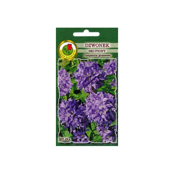 Pulkstenīte kamolainā