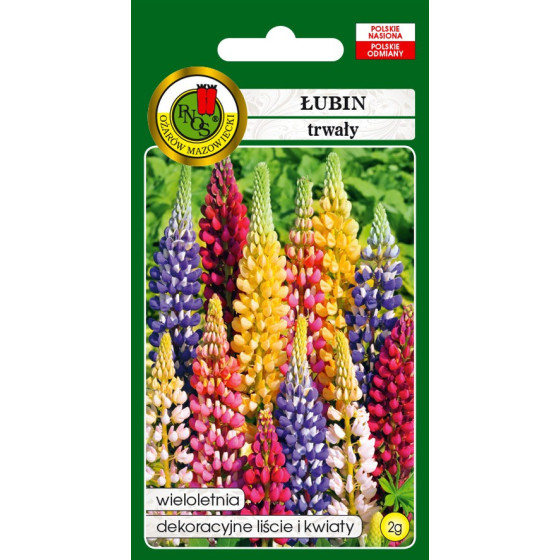 Lupīnas daudzlapu Russel Mix