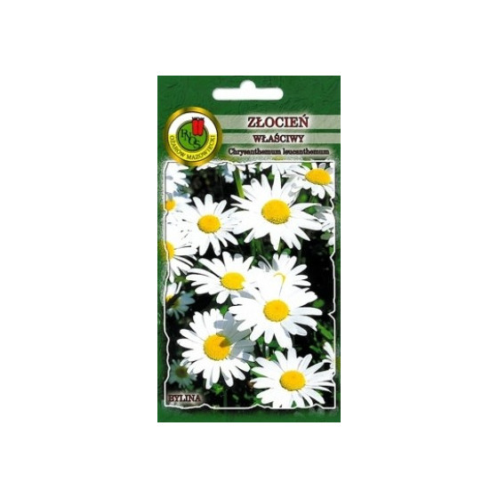 Pīpene parastā RIESENSTERN