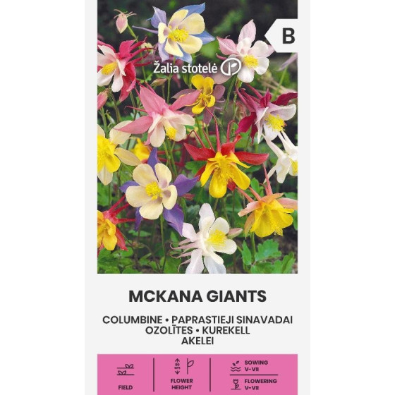 Ozolītes MC.KANA GIANTS*