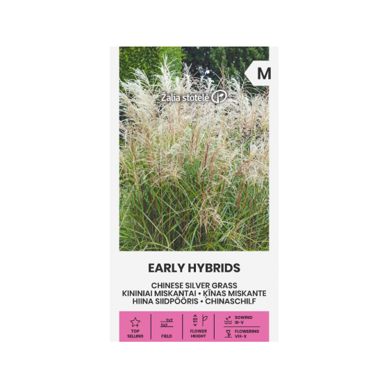 Miskante ķīnas Early Hybrids