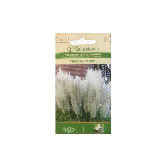 Pampu zāle Plume White