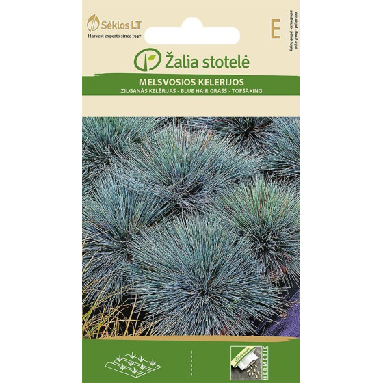 Kelērijas zilganās