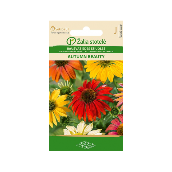Ehinācijas AUTUMN BEAUTY