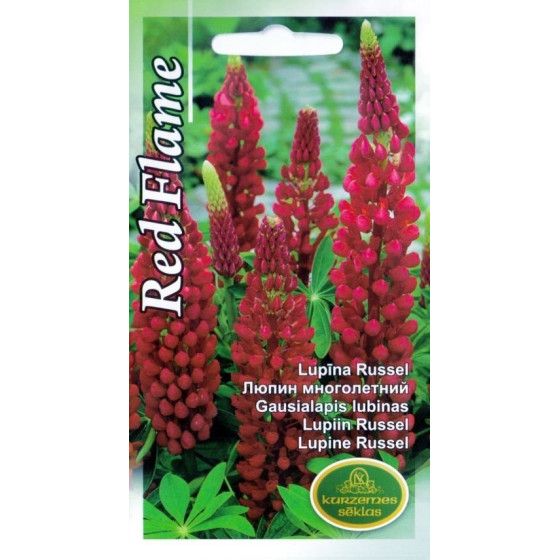 KS Lupīnas Russel Red...