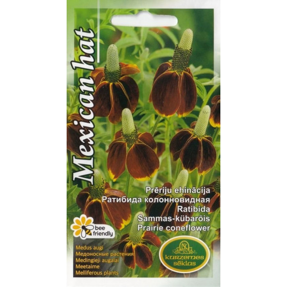 Ehinācija prēriju MEXICAN...
