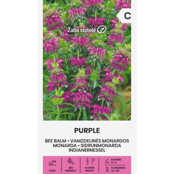 Monarda PURPLE
