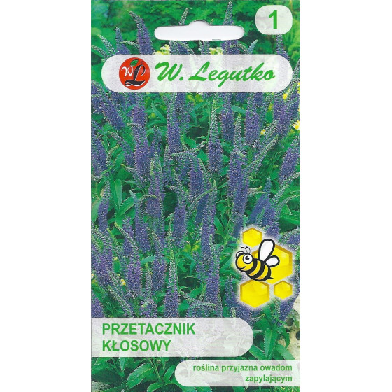 Veronika vārpu Blue 0,1g L