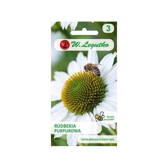 Ehinācija White Swaan balta...