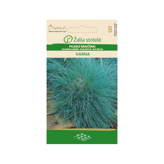 Auzene zilganā  VARNA 0.5g