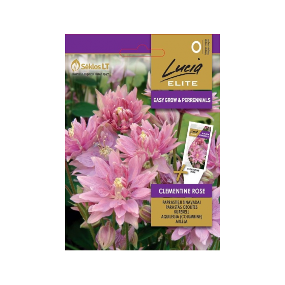 Ozolītes Clementine Rose