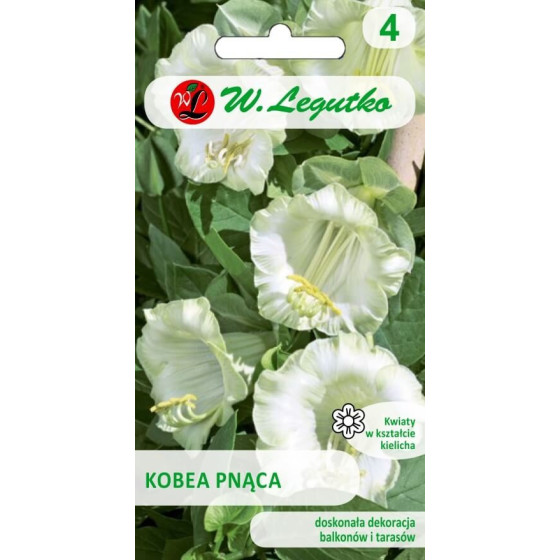 Kobejas baltas 6 sēkl. L