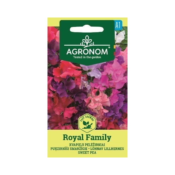 PUĶZIRNĪŠI ROYAL FAMILY 2g