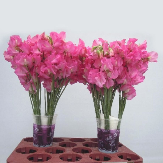 Smaržīgie puķuzirnīši...