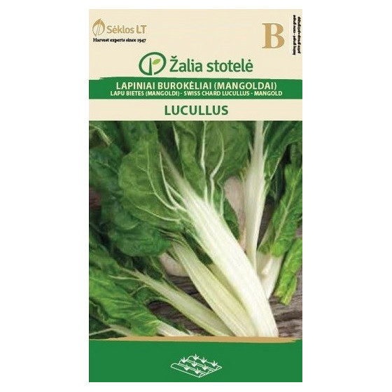 Lapu bietes (mangolds)...