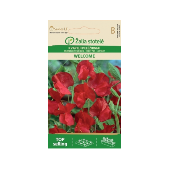 Puķzirnīši smaržīgie WELCOME