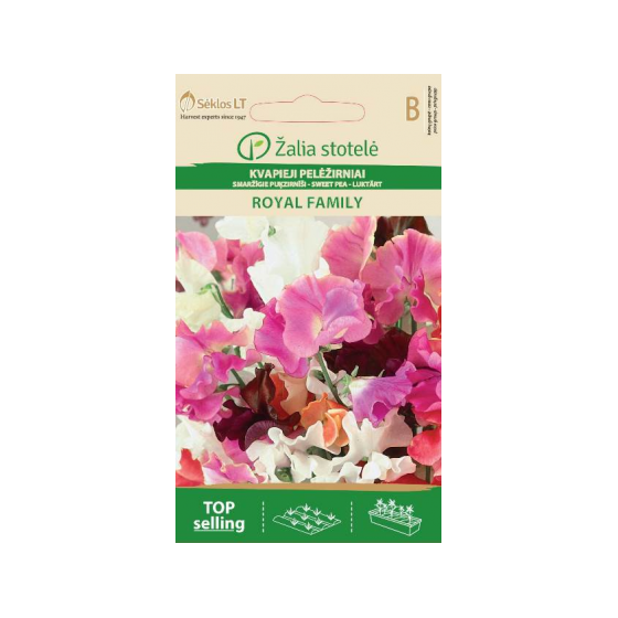 Puķzirnīši smaržīgie...