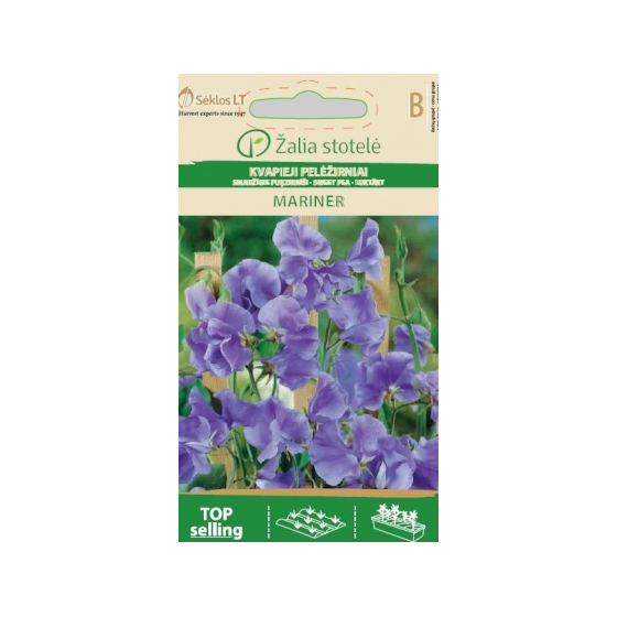 Puķzirnīši smaržīgie MARINER