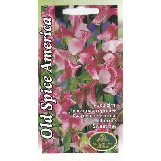 KS Puķuzirņi Old Spice...