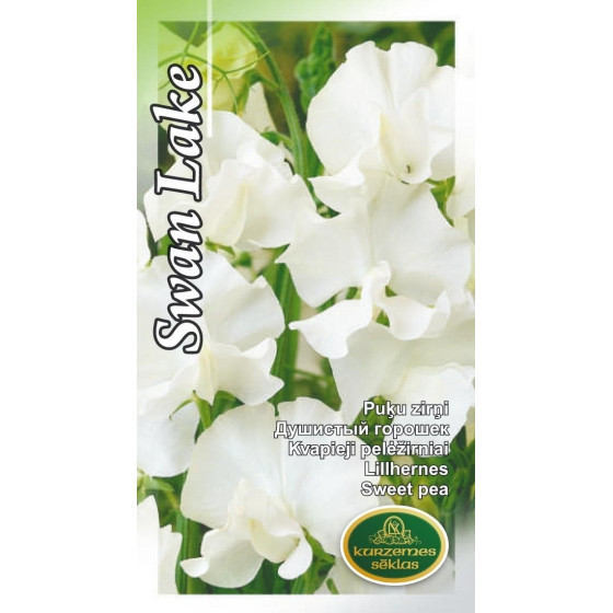 KS Puķuzirnīši balti Swan...