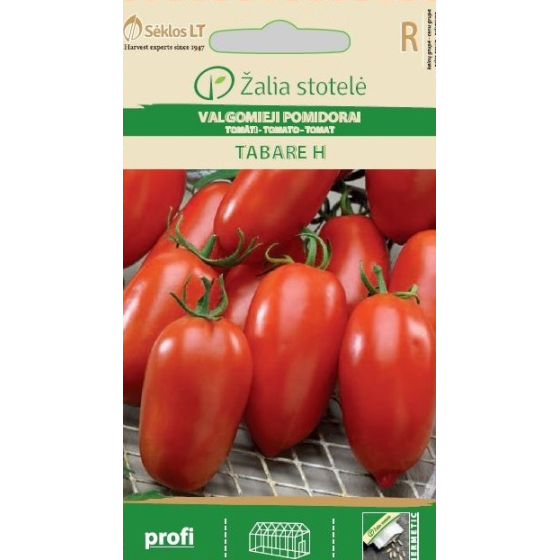 Tomāti Tabare F1 7s
