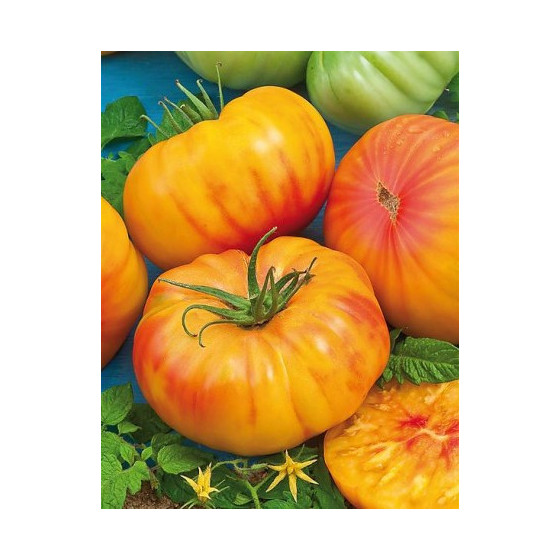 Tomātu sēklas Ananas F1 (5s)