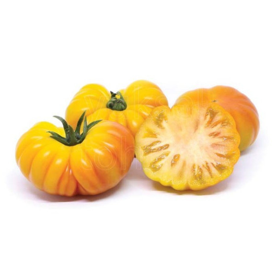 Tomāti Lacitrine F1 3s