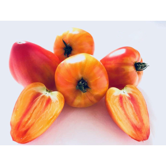 Tomāti Sonnenherz F1 50s.