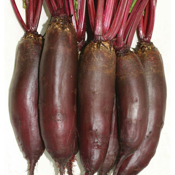 Galda bietes Taunus F1 (500s.)