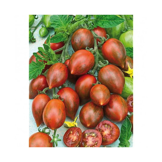 Tomāti COOKIE® F1 MELANGE...