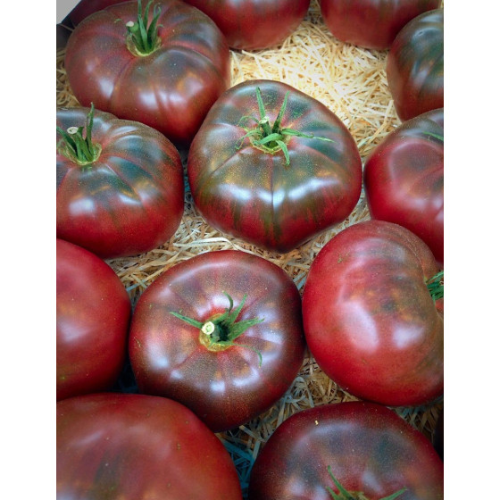 Tomāti Noire De Crimee F1 5...