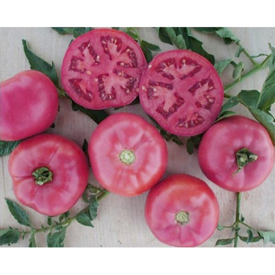 Tomātu sēklas Fuji Pink (100s)