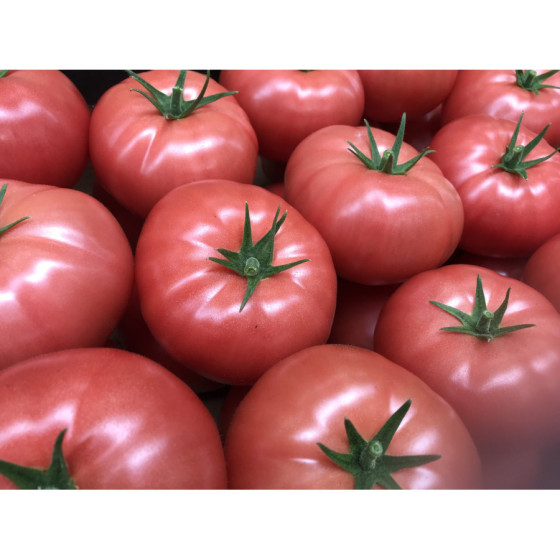 Tomāti Yarimaru F1 50 sēklas