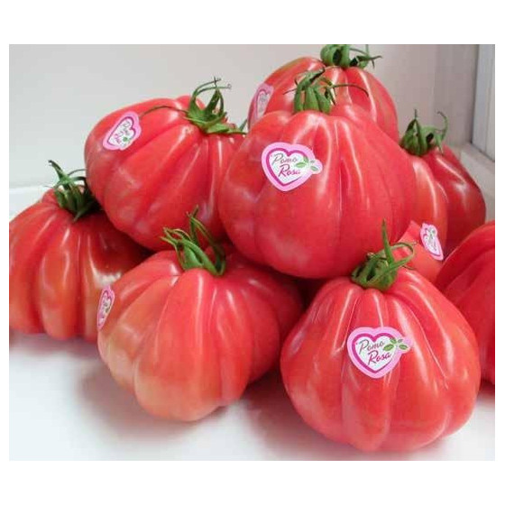 Tomāti Rosamunda F1 3 sēkl.
