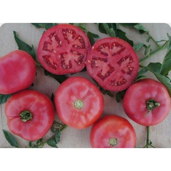 Tomāti Pink Bomb F1 10...
