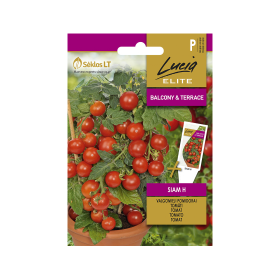 Tomāti SIAM H 7sēkl. (zemie)