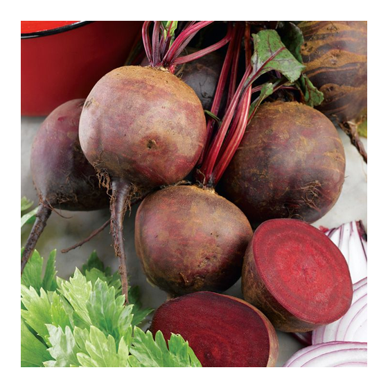 Bietes Zeppo RZ (~500 sēklas)