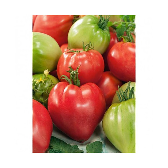 Tomāti DR7024TS F1 (3 sēklas)