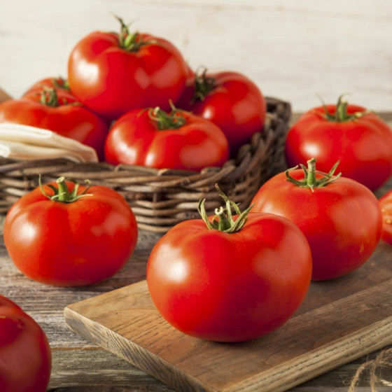 Tomāti Tobolsk F1 5s