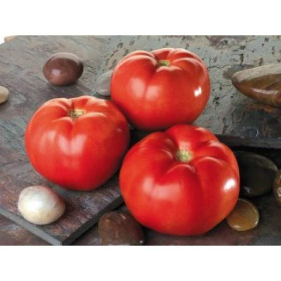 Tomāti Troy F1 5s (Lauka)